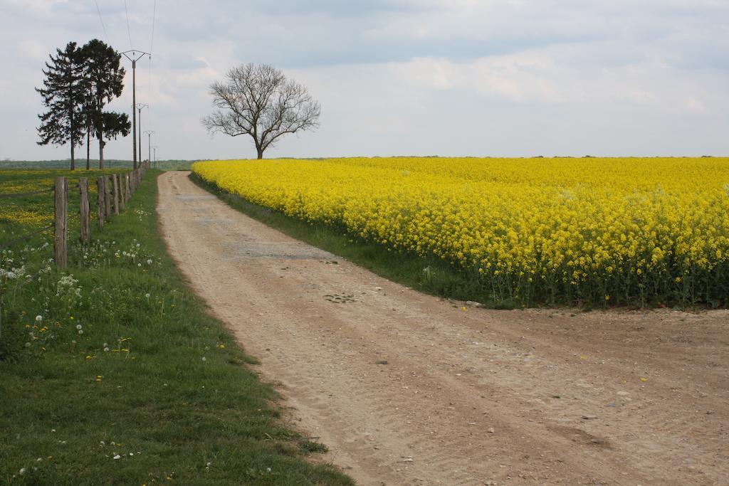 مبيت وإفطار Méru La Grange De Boulaines المظهر الخارجي الصورة