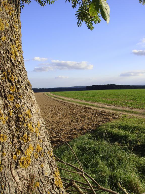 مبيت وإفطار Méru La Grange De Boulaines المظهر الخارجي الصورة